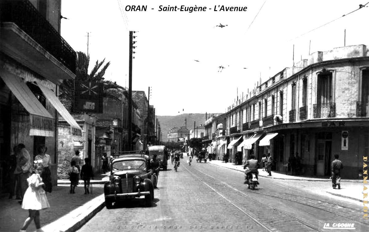 Oran - Saint-Eugene - Avenue.jpg